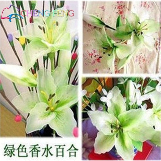 50pcs Special Blue Heart Lily Plant plants Potted Bonsai Plant Lily Flower plants For Home Garden Purify Indoor Air Mixing Color