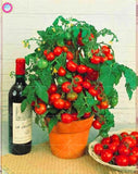 200 pcs/bag bonsai tomato , delicious cherry tomato ,Non-GMO  vegetables Edible food balcony potted garden plants